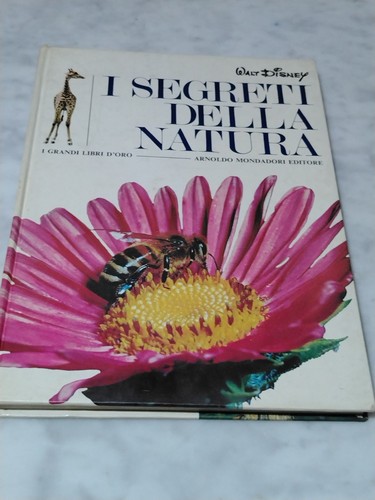 Walt disney segreti - walt, della
