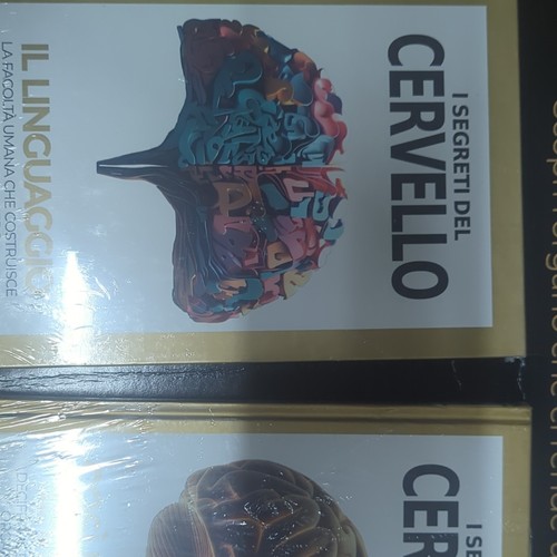 Segreti del cervello - segreti, il