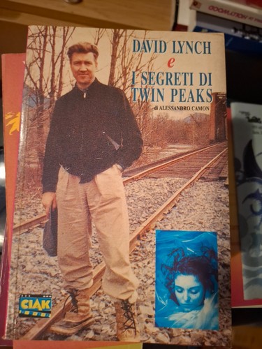 David lynch segreti di - david,